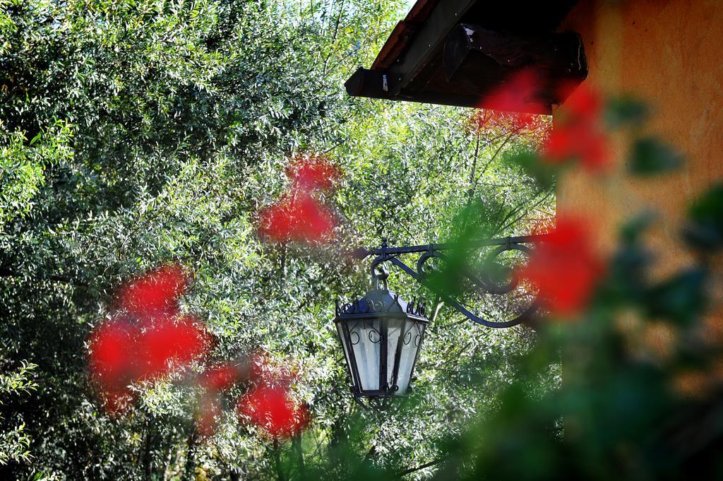 Castel Madama L'Antica Molaヴィラ 部屋 写真