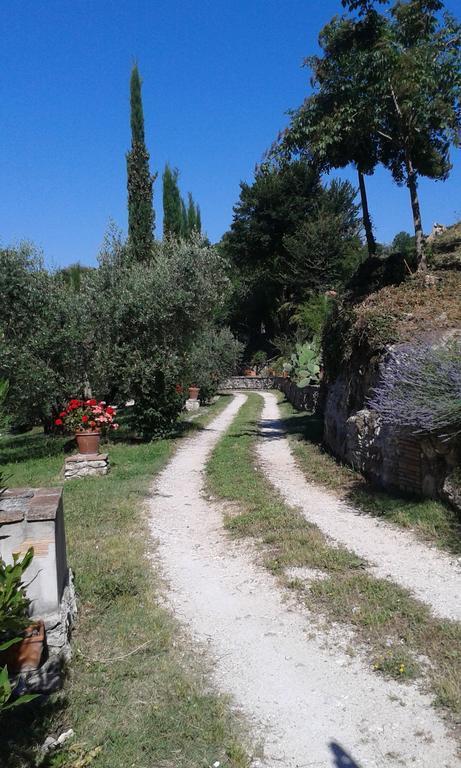Castel Madama L'Antica Molaヴィラ 部屋 写真