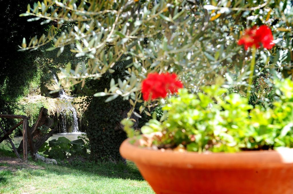 Castel Madama L'Antica Molaヴィラ 部屋 写真